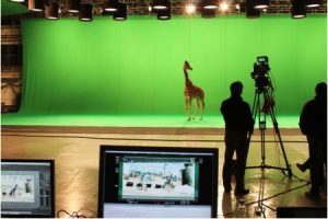 Greenscreen nutzen – Dreharbeiten zum Film Girrafada Greenscreen nutzen – Dreharbeiten Film Girrafada